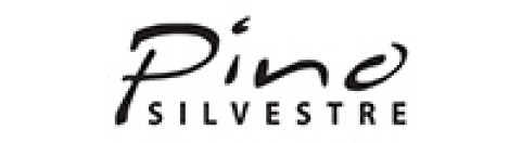Pino Silvestre